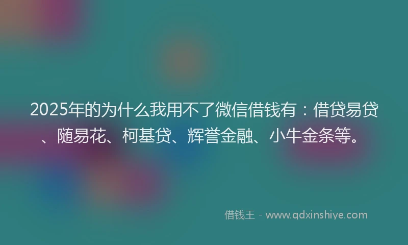 2025年的为什么我用不了微信借钱有：借贷易贷、随易花、柯基贷、辉誉金融、小牛金条等。