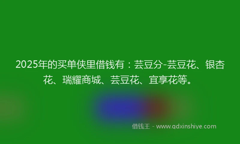 2025年的买单侠里借钱有：芸豆分-芸豆花、银杏花、瑞耀商城、芸豆花、宜享花等。