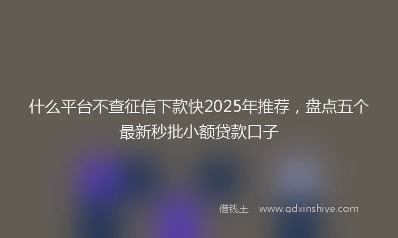 什么平台不查征信下款快2025年推荐，盘点五个最新秒批小额贷款口子