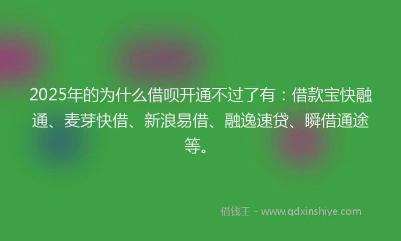 2025年的为什么借呗开通不过了有:借款宝快融通、麦芽快借、新浪易借、融逸速贷、瞬借通途等。