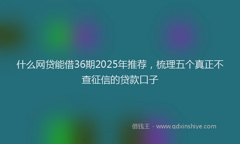 什么网贷能借36期2025年推荐，梳理五个真正不查征信的贷款口子