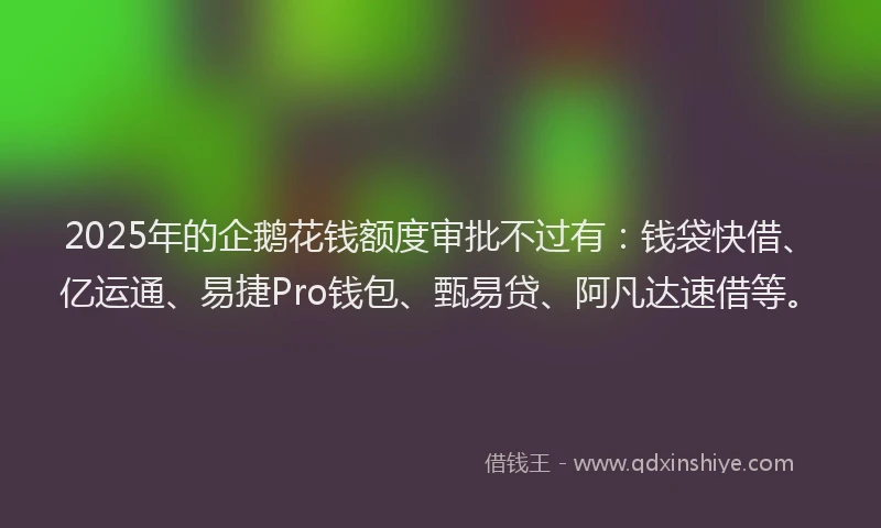 2025年的企鹅花钱额度审批不过有：钱袋快借、亿运通、易捷Pro钱包、甄易贷、阿凡达速借等。