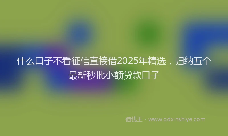 什么口子不看征信直接借2025年精选，归纳五个最新秒批小额贷款口子
