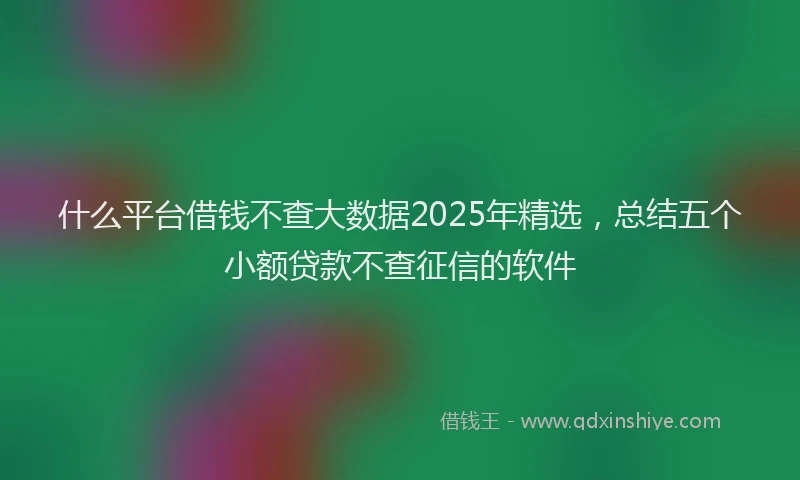 什么平台借钱不查大数据2025年精选，总结五个小额贷款不查征信的软件