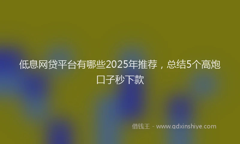 低息网贷平台有哪些2025年推荐，总结5个高炮口子秒下款