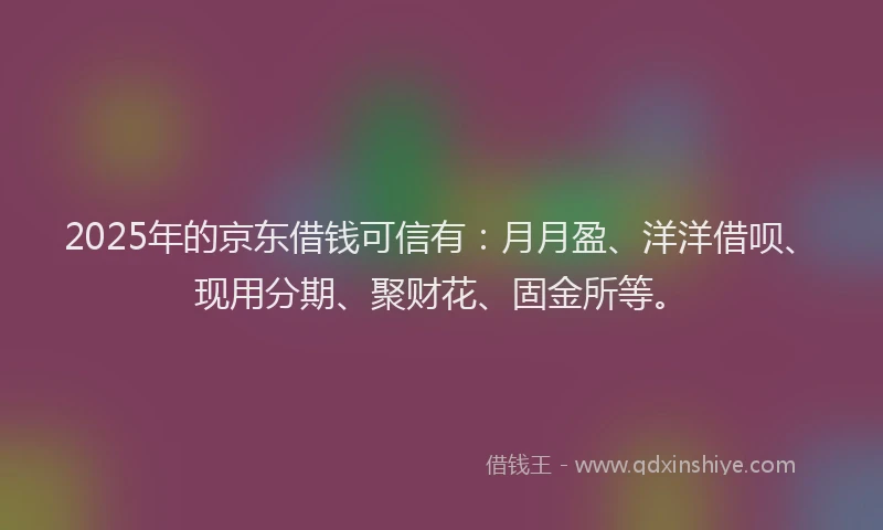 2025年的京东借钱可信有：月月盈、洋洋借呗、现用分期、聚财花、固金所等。