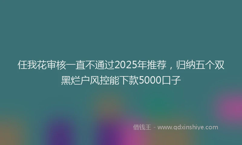 任我花审核一直不通过2025年推荐，归纳五个双黑烂户风控能下款5000口子
