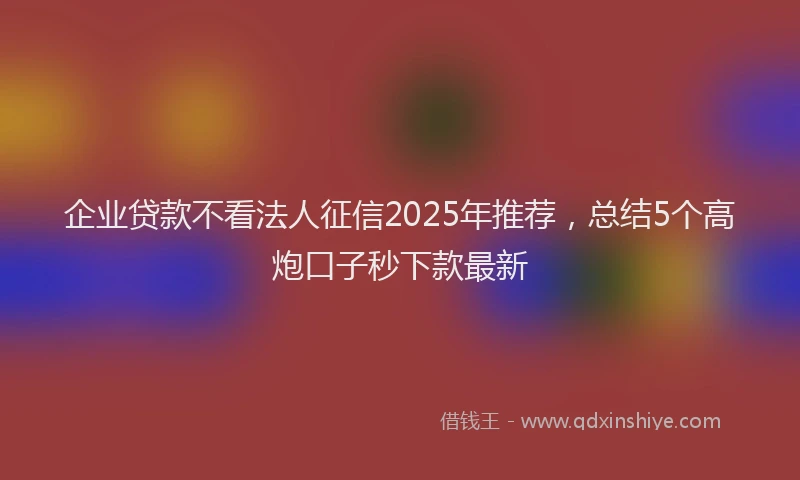 企业贷款不看法人征信2025年推荐，总结5个高炮口子秒下款最新