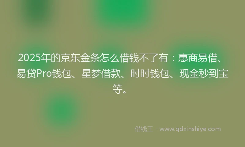 2025年的京东金条怎么借钱不了有：惠商易借、易贷Pro钱包、星梦借款、时时钱包、现金秒到宝等。