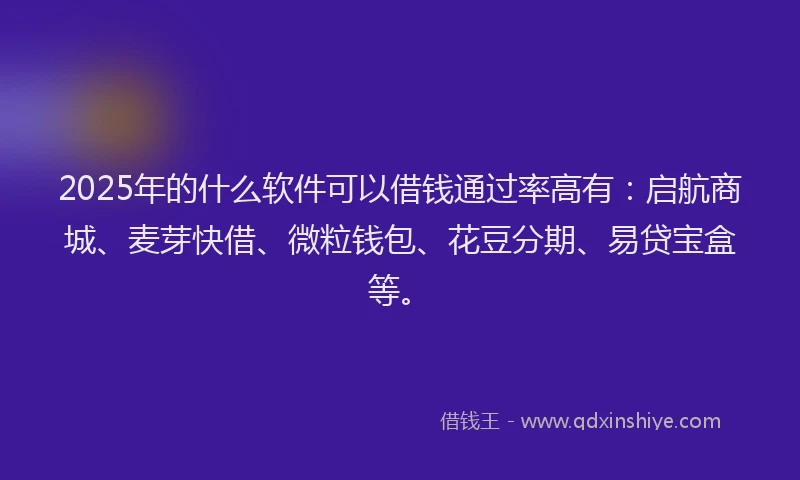 2025年的什么软件可以借钱通过率高有：启航商城、麦芽快借、微粒钱包、花豆分期、易贷宝盒等。