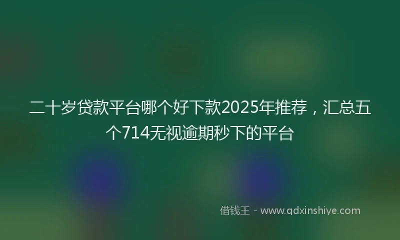 二十岁贷款平台哪个好下款2025年推荐，汇总五个714无视逾期秒下的平台