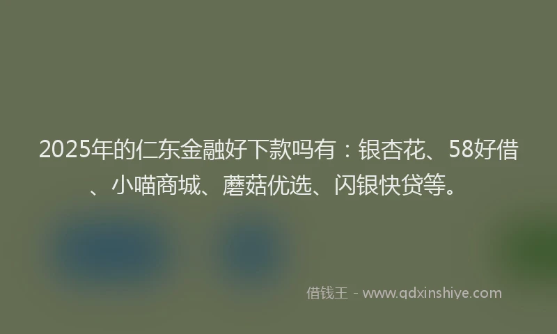 2025年的仁东金融好下款吗有：银杏花、58好借、小喵商城、蘑菇优选、闪银快贷等。