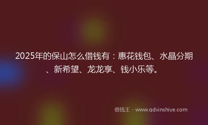 2025年的保山怎么借钱有：惠花钱包、水晶分期、新希望、龙龙享、钱小乐等。
