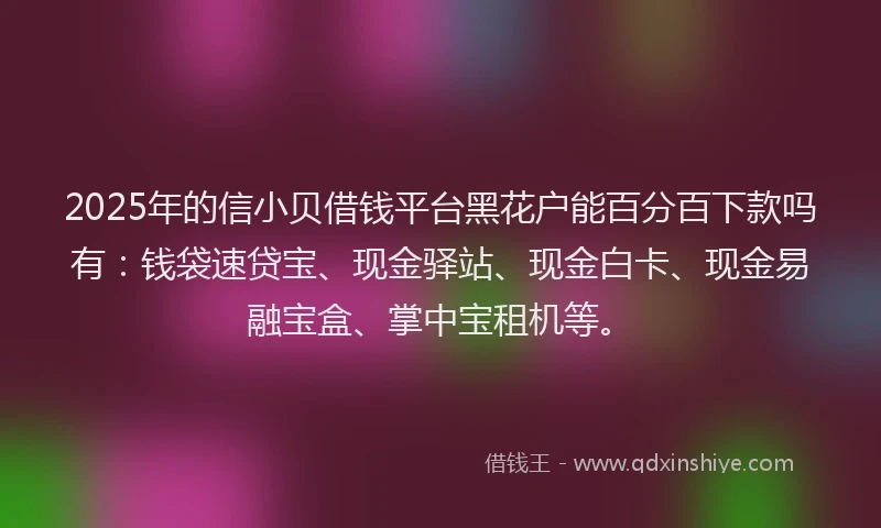 2025年的信小贝借钱平台黑花户能百分百下款吗有：钱袋速贷宝、现金驿站、现金白卡、现金易融宝盒、掌中宝租机等。