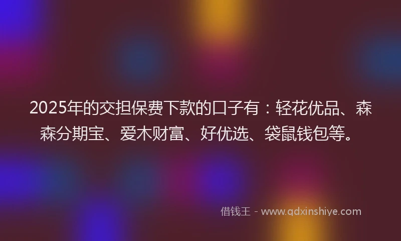 2025年的交担保费下款的口子有：轻花优品、森森分期宝、爱木财富、好优选、袋鼠钱包等。