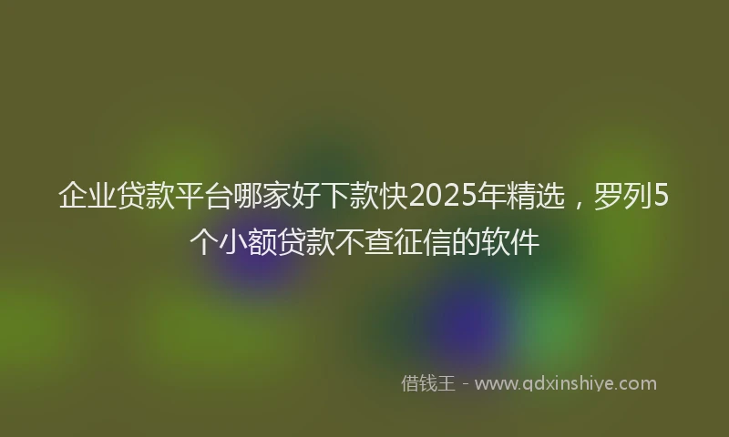 企业贷款平台哪家好下款快2025年精选，罗列5个小额贷款不查征信的软件