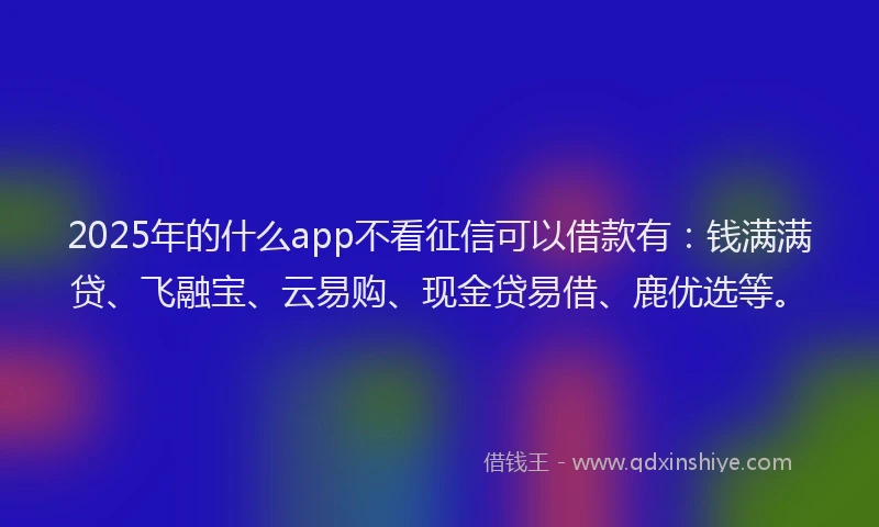 2025年的什么app不看征信可以借款有:钱满满贷、飞融宝、云易购、现金贷易借、鹿优选等。