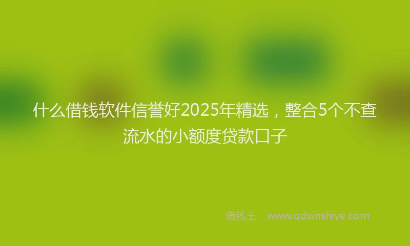 什么借钱软件信誉好2025年精选,整合5个不查流水的小额度贷款口子