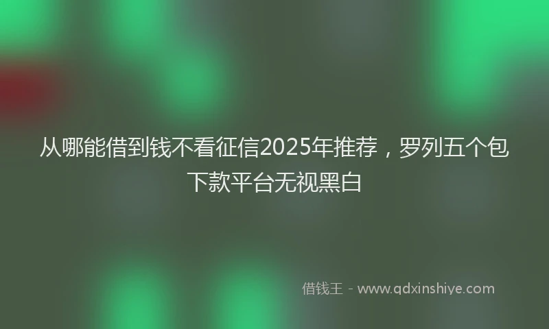 从哪能借到钱不看征信2025年推荐，罗列五个包下款平台无视黑白
