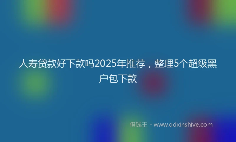人寿贷款好下款吗2025年推荐，整理5个超级黑户包下款