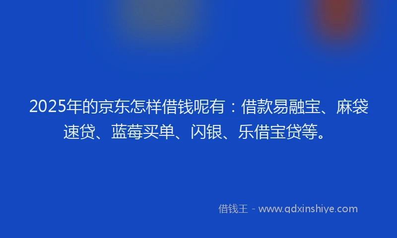 2025年的京东怎样借钱呢有：借款易融宝、麻袋速贷、蓝莓买单、闪银、乐借宝贷等。