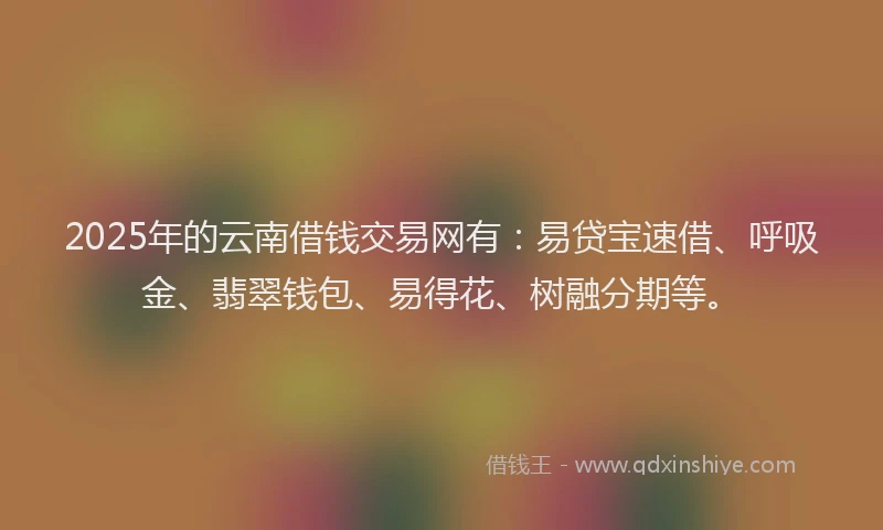 2025年的云南借钱交易网有：易贷宝速借、呼吸金、翡翠钱包、易得花、树融分期等。