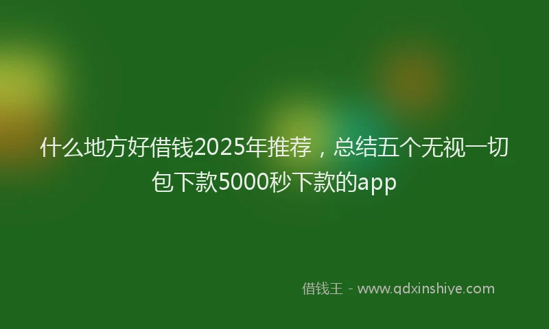 什么地方好借钱2025年推荐，总结五个无视一切包下款5000秒下款的app