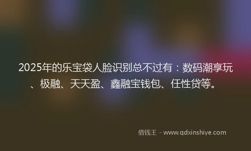 2025年的乐宝袋人脸识别总不过有：数码潮享玩、极融、天天盈、鑫融宝钱包、任性贷等。