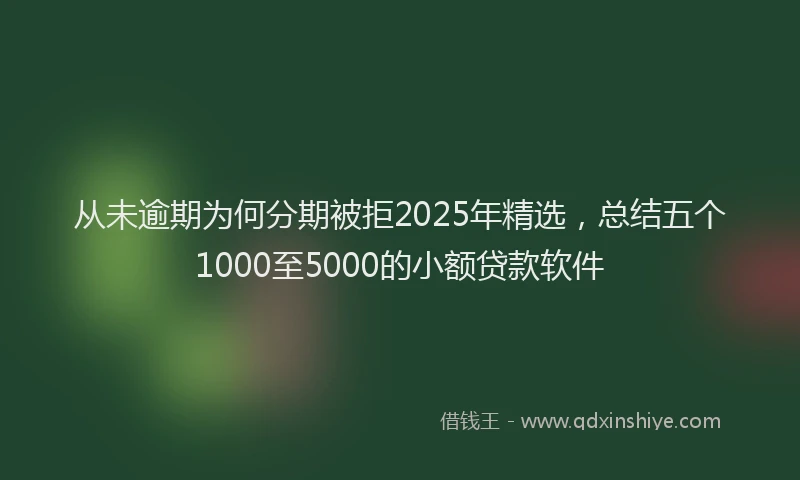 从未逾期为何分期被拒2025年精选，总结五个1000至5000的小额贷款软件