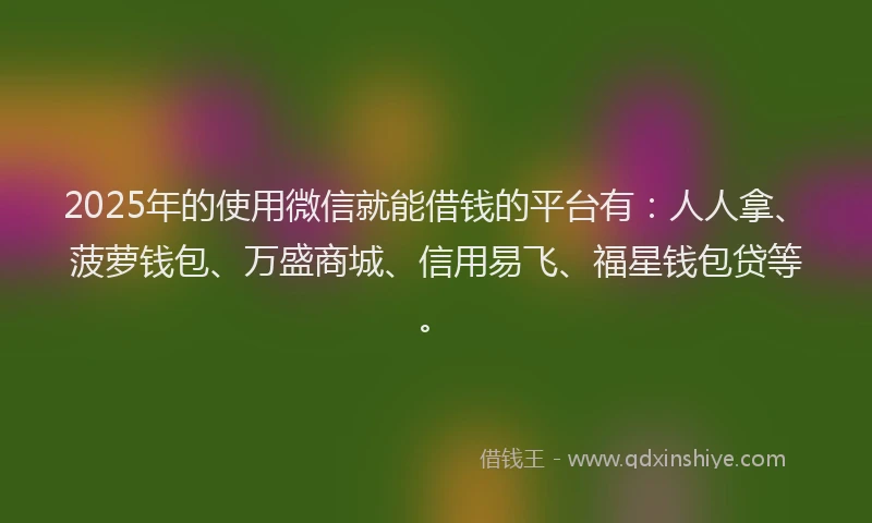2025年的使用微信就能借钱的平台有：人人拿、菠萝钱包、万盛商城、信用易飞、福星钱包贷等。
