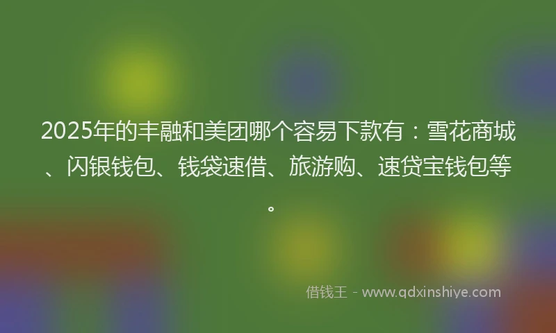 2025年的丰融和美团哪个容易下款有:雪花商城、闪银钱包、钱袋速借、旅游购、速贷宝钱包等。