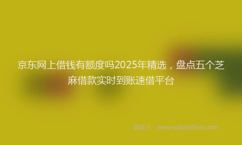 京东网上借钱有额度吗2025年精选，盘点五个芝麻借款实时到账速借平台