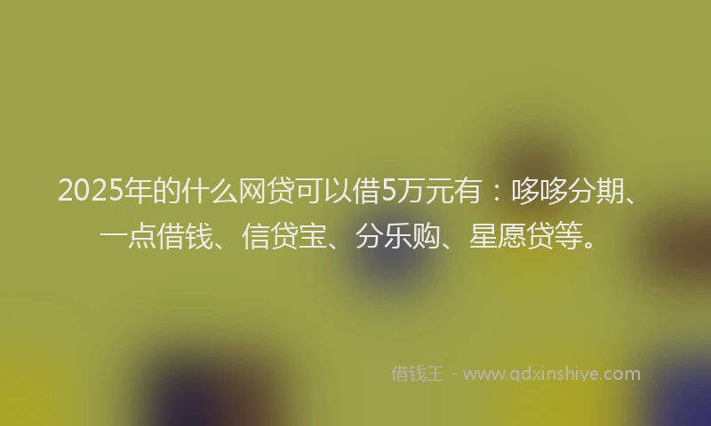 2025年的什么网贷可以借5万元有：哆哆分期、一点借钱、信贷宝、分乐购、星愿贷等。