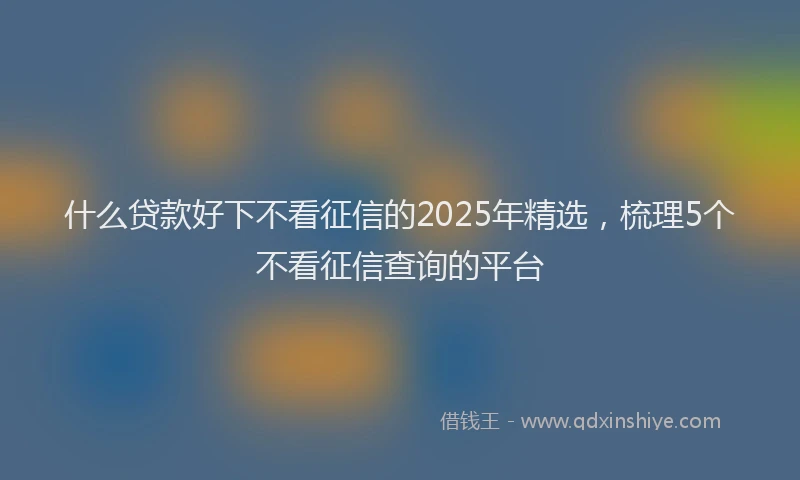 什么贷款好下不看征信的2025年精选，梳理5个不看征信查询的平台