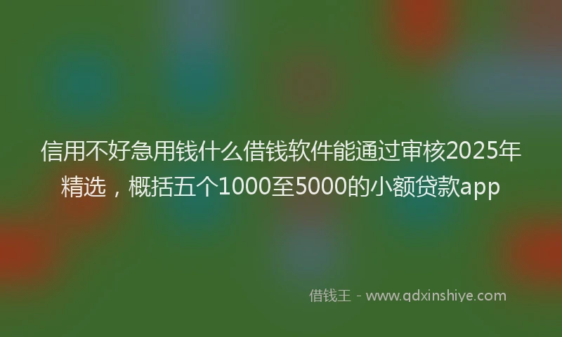 信用不好急用钱什么借钱软件能通过审核2025年精选，概括五个1000至5000的小额贷款app