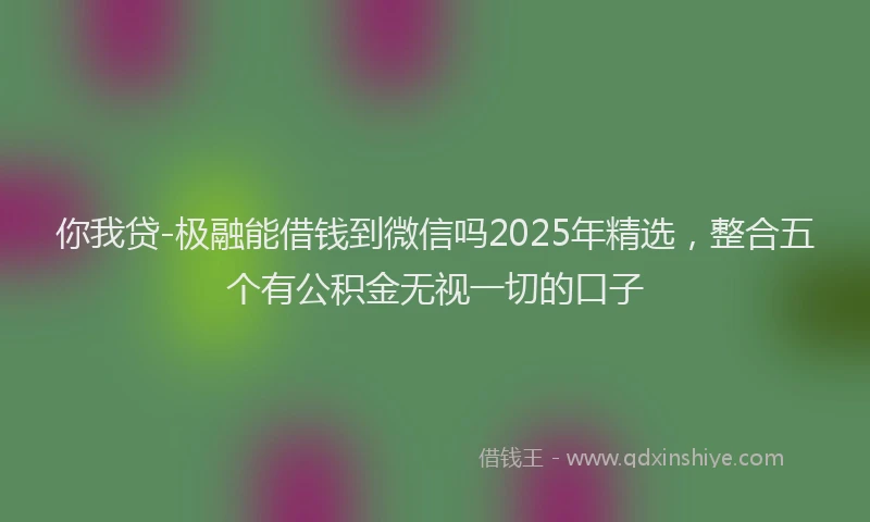 你我贷-极融能借钱到微信吗2025年精选，整合五个有公积金无视一切的口子