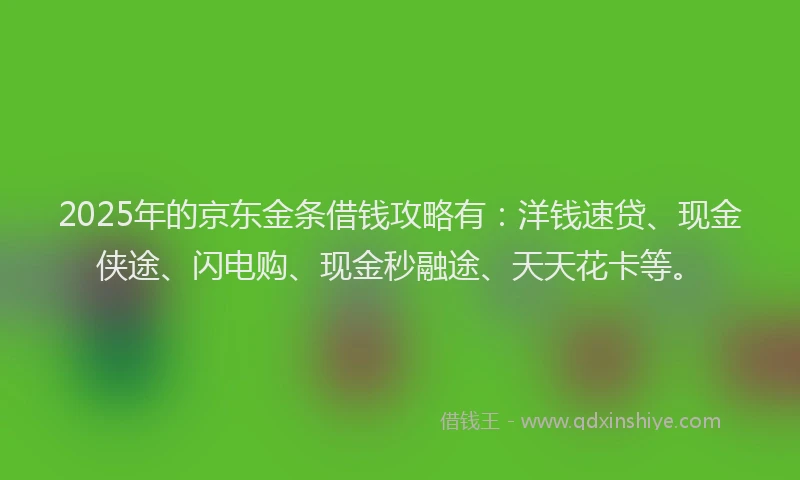 2025年的京东金条借钱攻略有：洋钱速贷、现金侠途、闪电购、现金秒融途、天天花卡等。