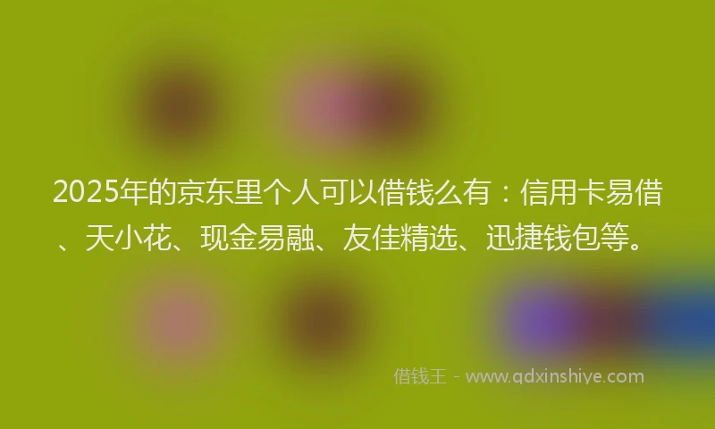 2025年的京东里个人可以借钱么有：信用卡易借、天小花、现金易融、友佳精选、迅捷钱包等。