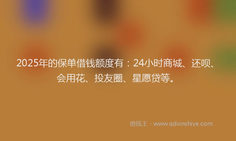 2025年的保单借钱额度有：24小时商城、还呗、会用花、投友圈、星愿贷等。