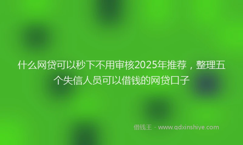 什么网贷可以秒下不用审核2025年推荐，整理五个失信人员可以借钱的网贷口子