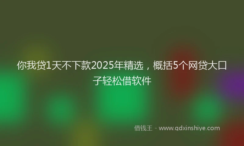 你我贷1天不下款2025年精选，概括5个网贷大口子轻松借软件
