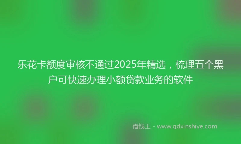乐花卡额度审核不通过2025年精选，梳理五个黑户可快速办理小额贷款业务的软件