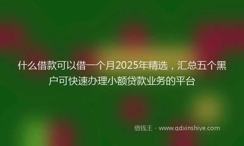 什么借款可以借一个月2025年精选，汇总五个黑户可快速办理小额贷款业务的平台