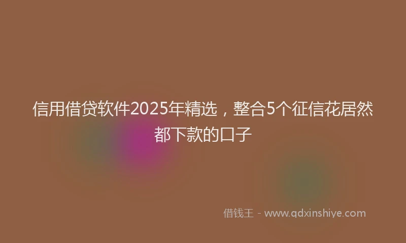 信用借贷软件2025年精选，整合5个征信花居然都下款的口子