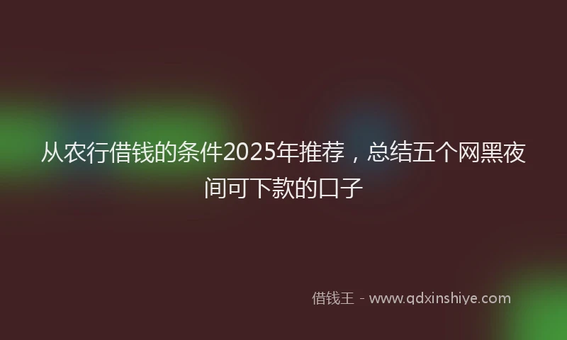 从农行借钱的条件2025年推荐，总结五个网黑夜间可下款的口子