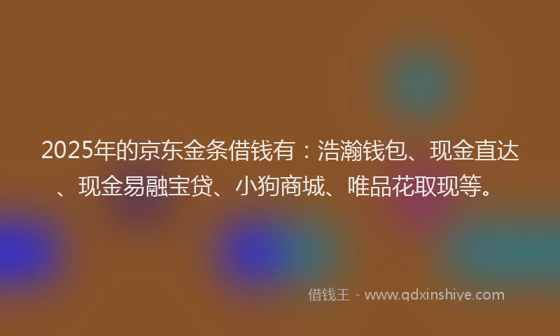 2025年的京东金条借钱有：浩瀚钱包、现金直达、现金易融宝贷、小狗商城、唯品花取现等。