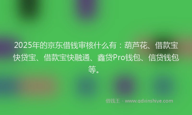 2025年的京东借钱审核什么有：葫芦花、借款宝快贷宝、借款宝快融通、鑫贷Pro钱包、信贷钱包等。