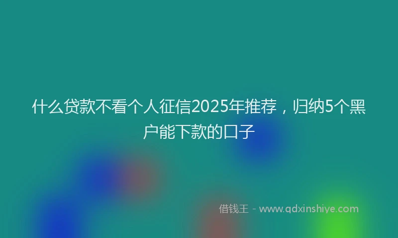什么贷款不看个人征信2025年推荐，归纳5个黑户能下款的口子