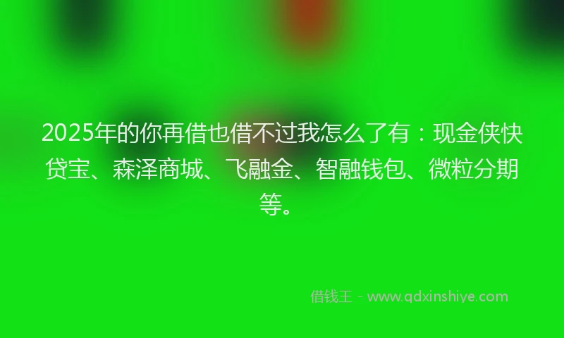 2025年的你再借也借不过我怎么了有：现金侠快贷宝、森泽商城、飞融金、智融钱包、微粒分期等。
