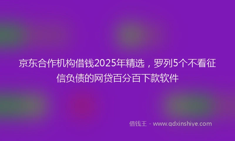 京东合作机构借钱2025年精选，罗列5个不看征信负债的网贷百分百下款软件